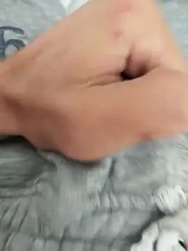 Snapshot of Tolgaistanbul34 chatting on 10/09/25, 12:58 Tolgaistanbul34 online show from 10/09/25, 12:58