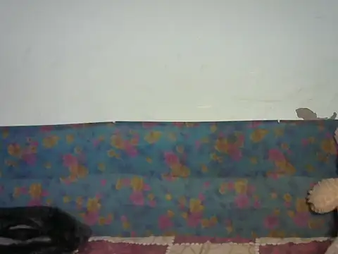 Baby doll9090 online show from 01/14/26, 05:07