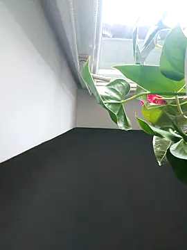 Snapshot of Czarnoksieznik chatting on 11/02/25, 12:07 Czarnoksieznik online show from 11/02/25, 12:07