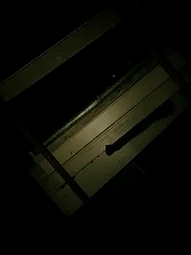 Snapshot of Czarnoksieznik chatting on 11/16/25, 01:00 Czarnoksieznik online show from 11/16/25, 01:00