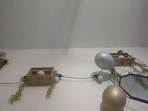 Snapshot of nousmeme0123 chatting on 02/20/26, 02:52 nousmeme0123 online show from 02/20/26, 02:52