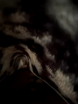 jackyw online show from 11/21/25, 06:12