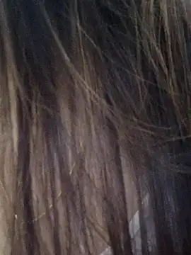 Snapshot of DPK25 chatting on 12/21/25, 11:06 DPK25 online show from 12/21/25, 11:06