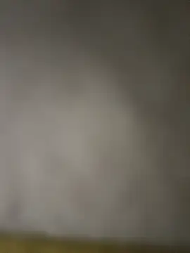 taraaek online show from 03/07/26, 12:07