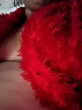 Snapshot of heena3355 chatting on 11/20/25, 04:12 heena3355 online show from 11/20/25, 04:12