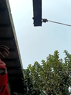 Snapshot of heena3355 chatting on 12/02/25, 03:56 heena3355 online show from 12/02/25, 03:56