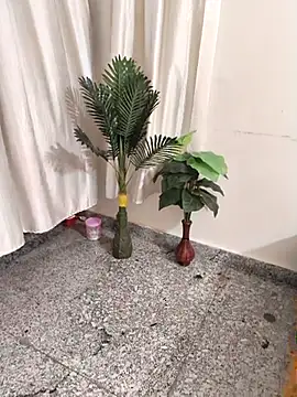 Shalu G online show from 09/28/25, 05:40