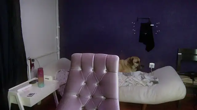 turkishTransEfsun online show from 10/02/25, 03:35