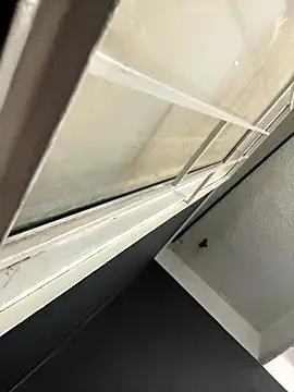 Emily Rivers  online show from 01/14/26, 01:17