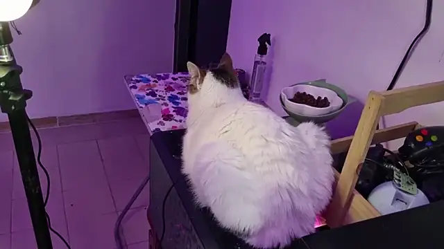 Snapshot of Lovers_cave chatting on 12/19/25, 02:07 Lovers cave online show from 12/19/25, 02:07