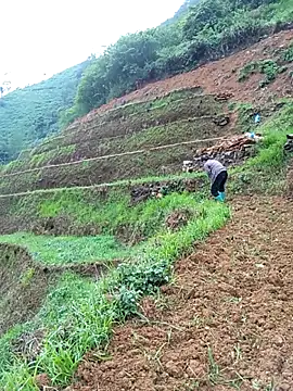 Mpchaola online show from 05/08/26, 10:42