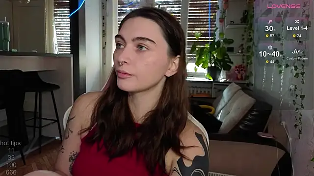 dorfmatratze   online show from 11/19/25, 08:14