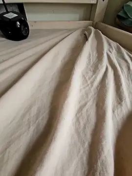 Snapshot of Stingles chatting on 10/04/25, 01:42 Stingles online show from 10/04/25, 01:42