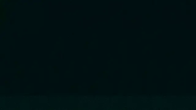 LeeCox online show from 12/21/24, 09:33