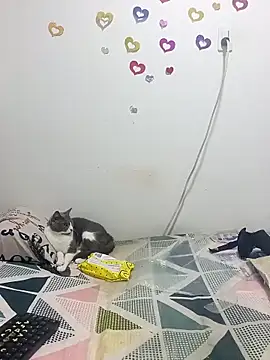 tany90 online show from 10/31/25, 11:17