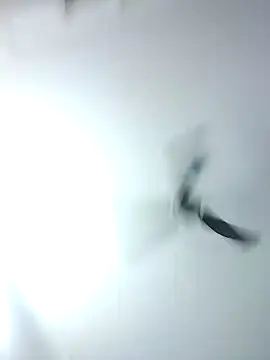 Kehar punjaban online show from 09/28/25, 07:36