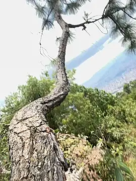 Alexis Spicter online show from 09/16/25, 05:03