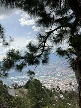 Alexis Spicter online show from 12/14/25, 07:07