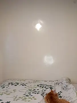 Snapshot of Nedambale chatting on 02/03/26, 10:53 Nedambale online show from 02/03/26, 10:53