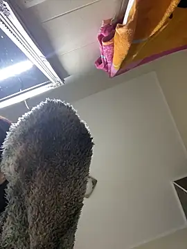 Lexi Storm online show from 12/03/25, 05:48