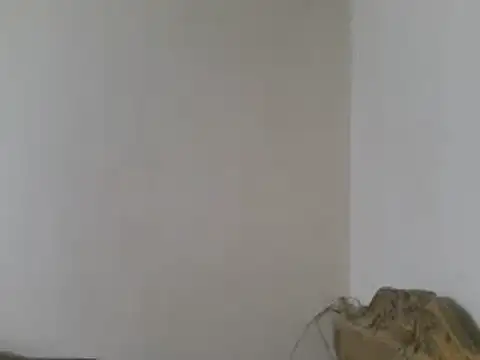 Snapshot of elpoop7305 chatting on 03/15/26, 08:48 elpoop7305 online show from 03/15/26, 08:48