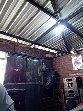 Snapshot of kay_towers99 chatting on 04/06/26, 06:31 kay towers99 online show from 04/06/26, 06:31