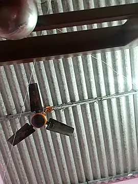 Cute-Swewty online show from 11/18/25, 02:54