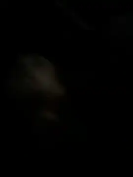 high3ndlowlife online show from 11/27/25, 02:13