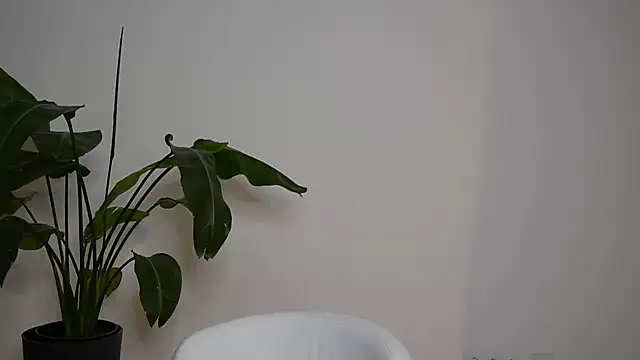 Snapshot of MayTease chatting on 09/11/25, 07:03 MayTease online show from 09/11/25, 07:03