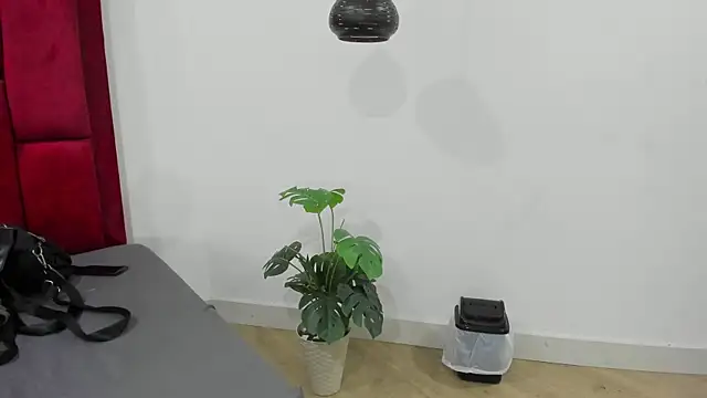 Snapshot of Mollyxketa1_ chatting on 10/02/25, 11:23 Mollyxketa1 online show from 10/02/25, 11:23