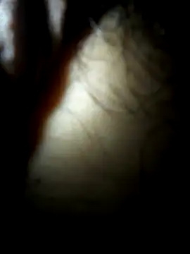 Snapshot of luislimafuego chatting on 10/04/25, 10:24 luislimafuego online show from 10/04/25, 10:24