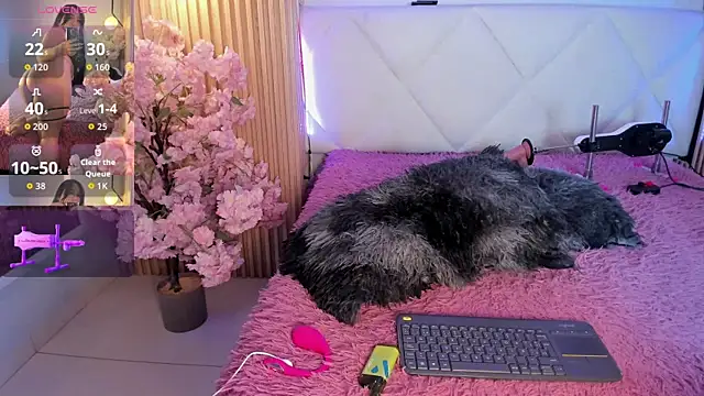 veronica hill  online show from 06/26/26, 03:00