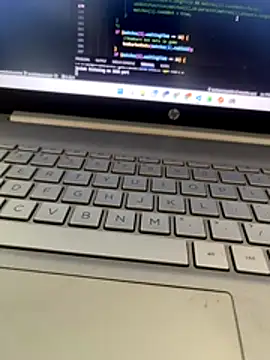 Snapshot of NoddingScorpion chatting on 11/29/25, 10:07 NoddingScorpion online show from 11/29/25, 10:07