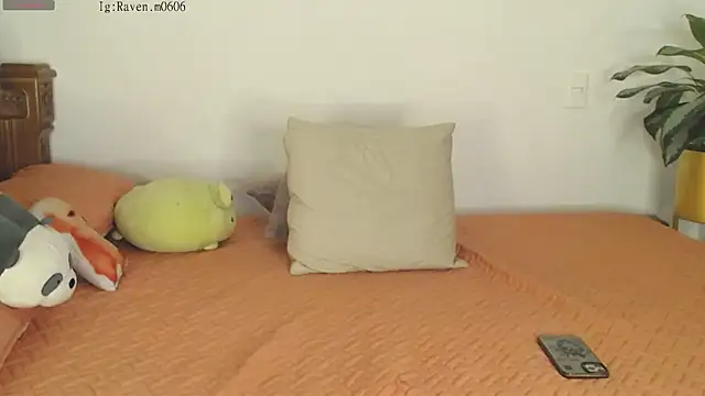 Raven06  online show from 11/11/25, 12:10