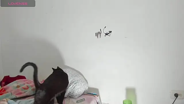 Raven Rouge  online show from 09/26/25, 06:17