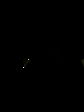 XanderOzzz online show from 11/03/25, 08:37