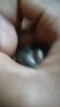 Snapshot of Vizgeboys chatting on 12/02/25, 06:03 Vizgeboys online show from 12/02/25, 06:03