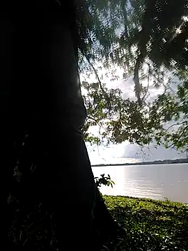 delesteli online show from 11/01/25, 08:33