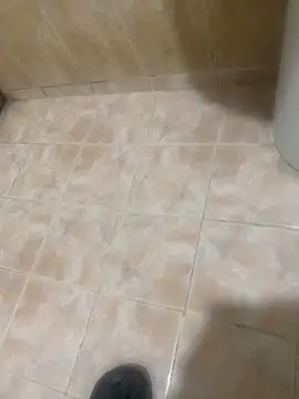 Binuthomas online show from 12/05/25, 02:25