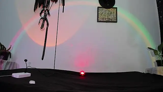 dex 55 online show from 05/12/26, 10:29