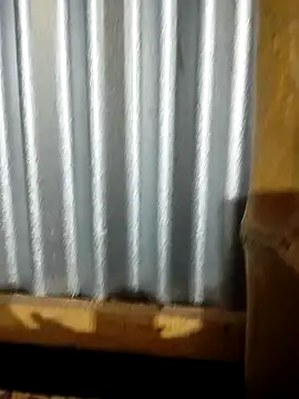 Snapshot of Nusrat-Q chatting on 10/03/25, 01:52 Nusrat-Q online show from 10/03/25, 01:52