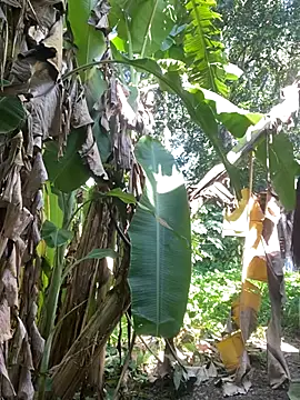 anastasia cums online show from 10/17/25, 05:54