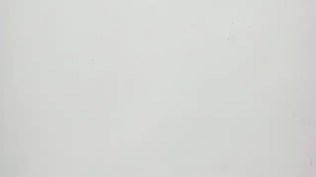 Saammy 17 online show from 09/20/25, 08:21