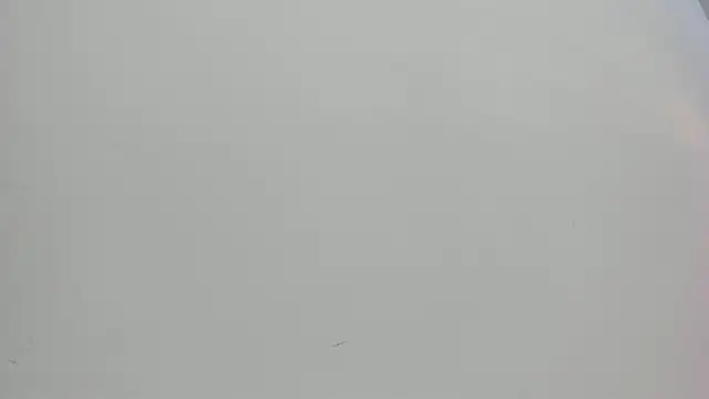 Saammy 17 online show from 10/01/25, 08:04