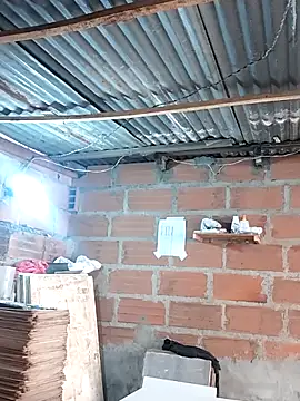 hoteder online show from 12/17/25, 01:28