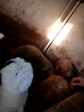 Snapshot of ezgi2545 chatting on 02/20/26, 02:39 ezgi2545 online show from 02/20/26, 02:39