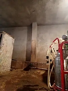 Snapshot of ezgi2545 chatting on 02/22/26, 03:10 ezgi2545 online show from 02/22/26, 03:10