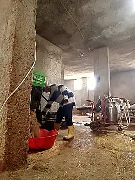 Snapshot of ezgi2545 chatting on 03/06/26, 07:27 ezgi2545 online show from 03/06/26, 07:27