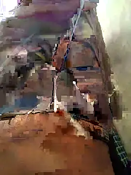 sexy pikachu online show from 03/15/26, 08:42