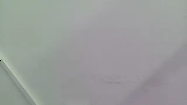 Lizbeth Rouse online show from 09/28/25, 12:54